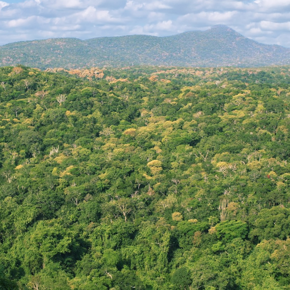 Reserva de la Biosfera Chamela-Cuixmala